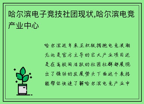 哈尔滨电子竞技社团现状,哈尔滨电竞产业中心